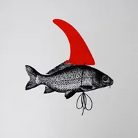 Estrategia de comunicación visual para empresas